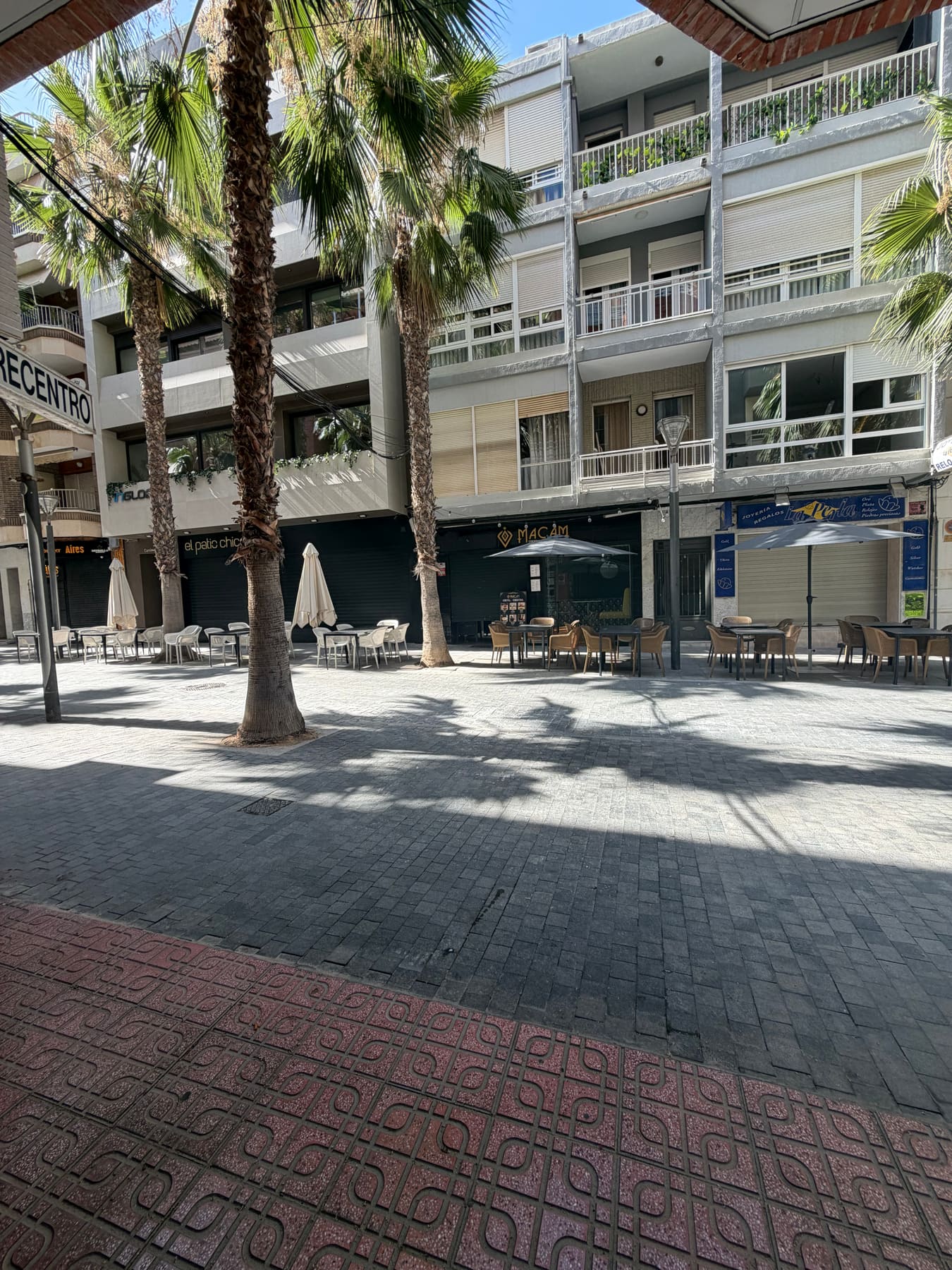 Palm-lined pedestrian square next to the Milla Homes office in central Torrevieja
